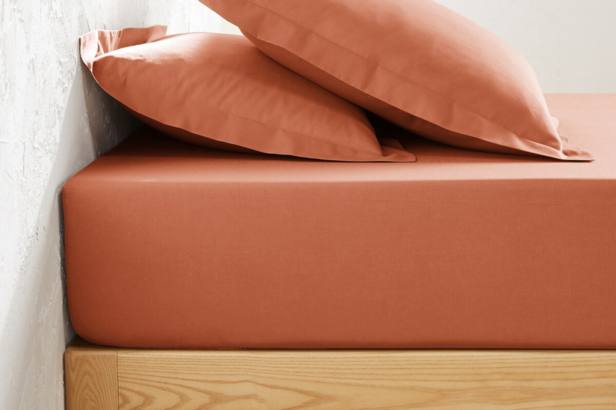 © La Redoute Interieurs : Drap housse en coton bonnet 25 cm, Scenario